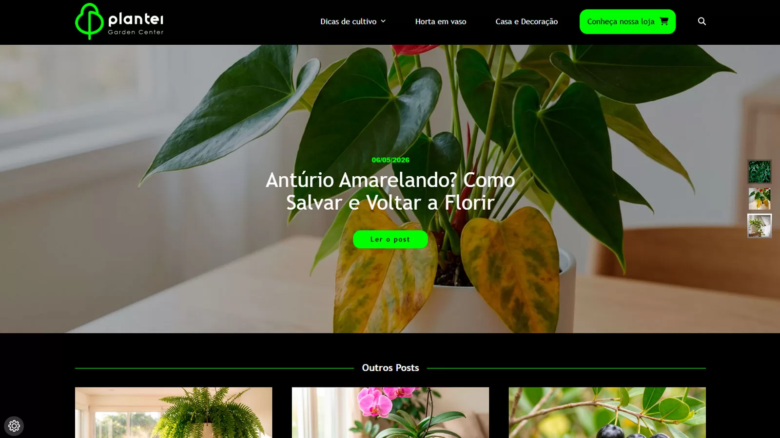 Blog Plantei